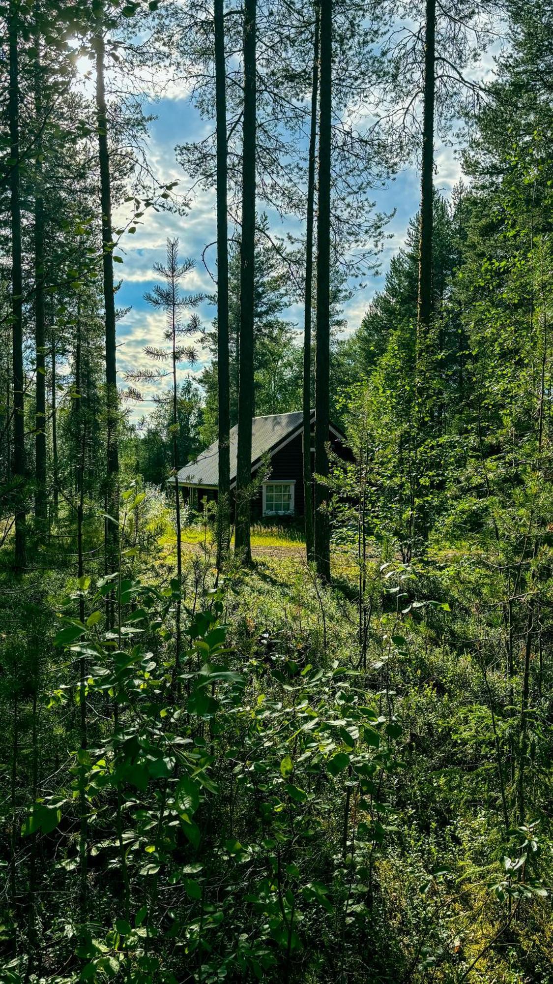 Sky Lodging ~ Sleeping Under The Stars Rovaniemi Exterior foto