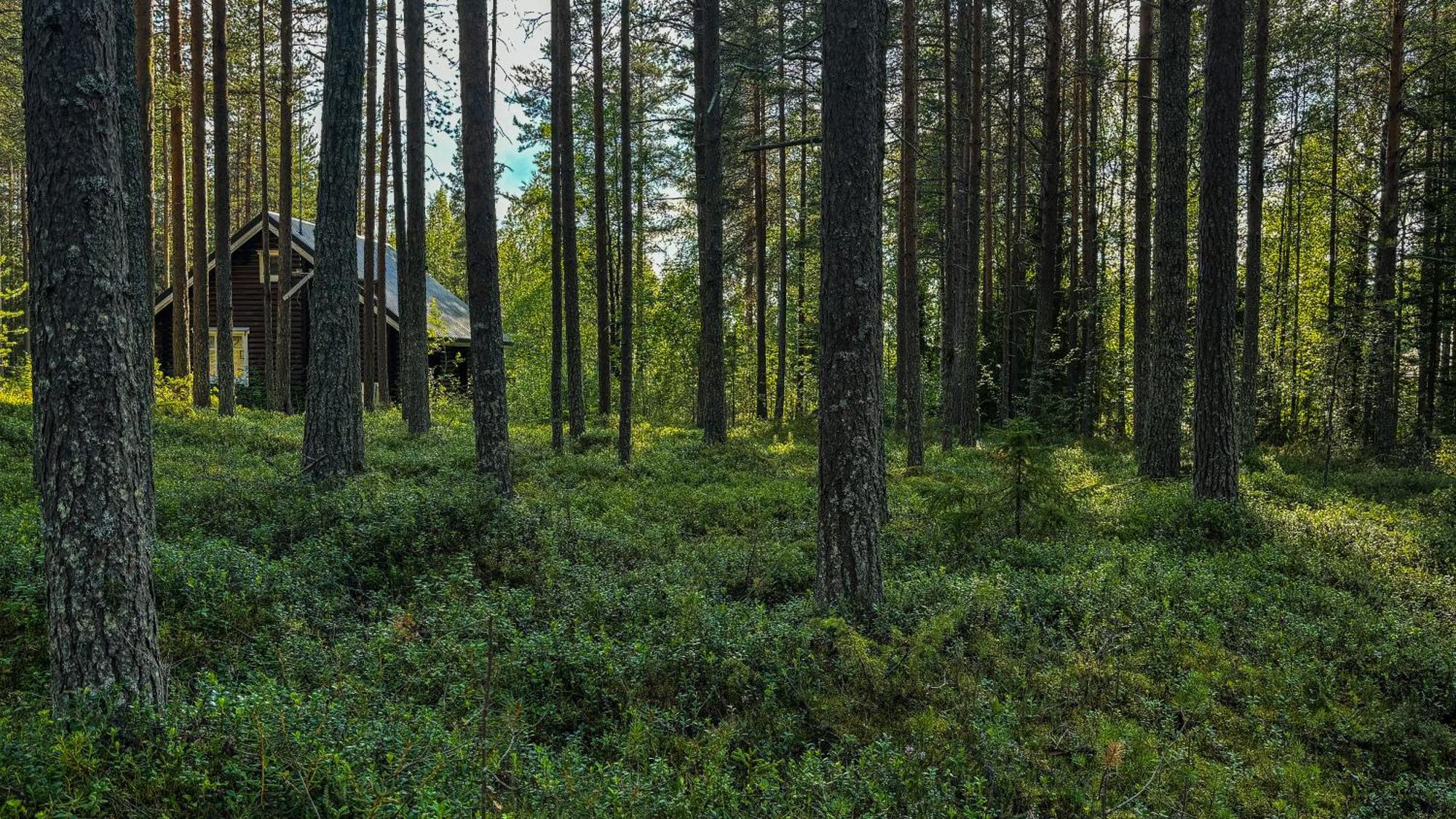 Sky Lodging ~ Sleeping Under The Stars Rovaniemi Exterior foto