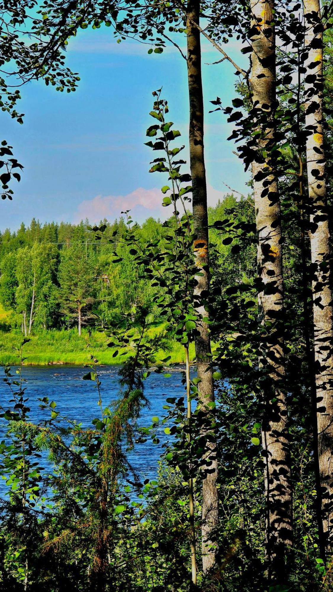 Sky Lodging ~ Sleeping Under The Stars Rovaniemi Exterior foto