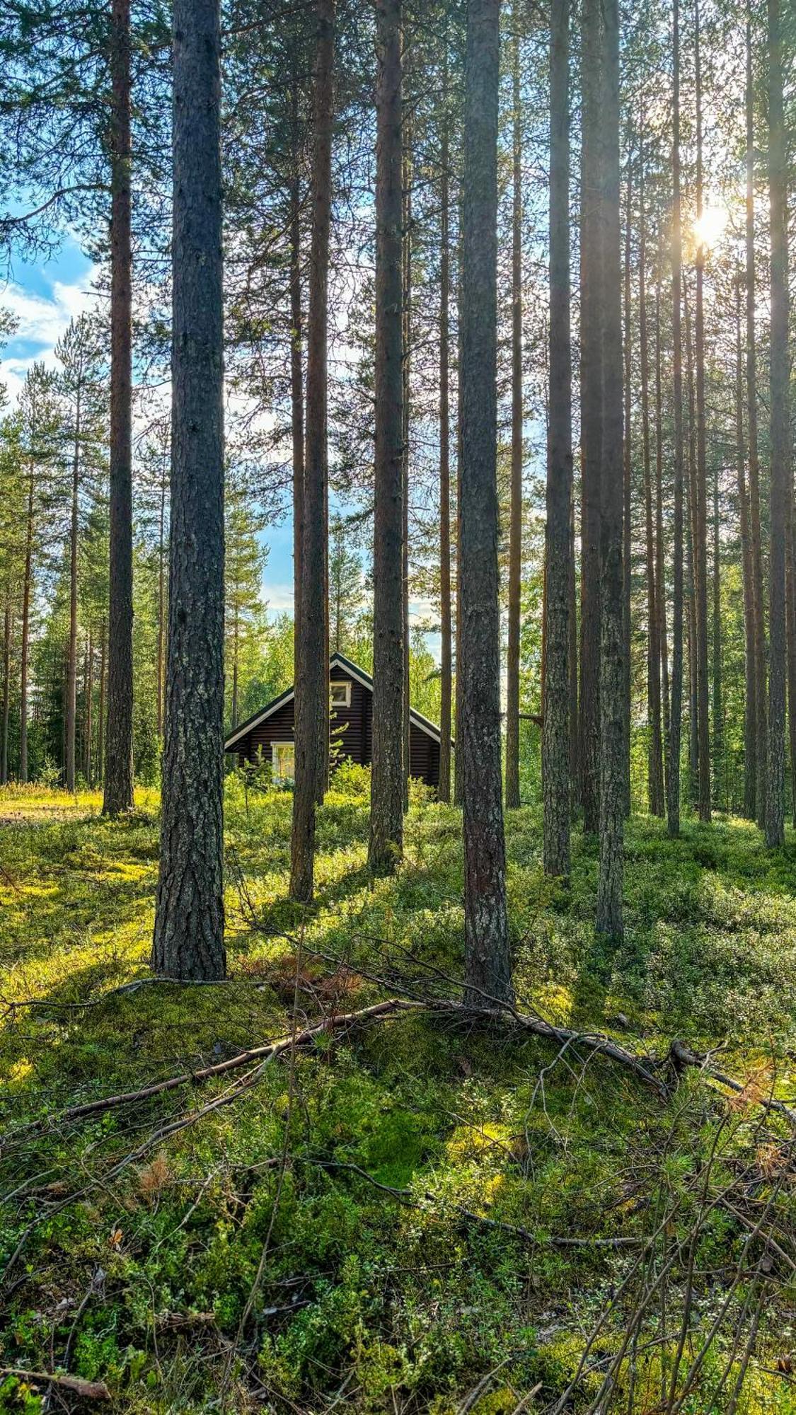 Sky Lodging ~ Sleeping Under The Stars Rovaniemi Exterior foto