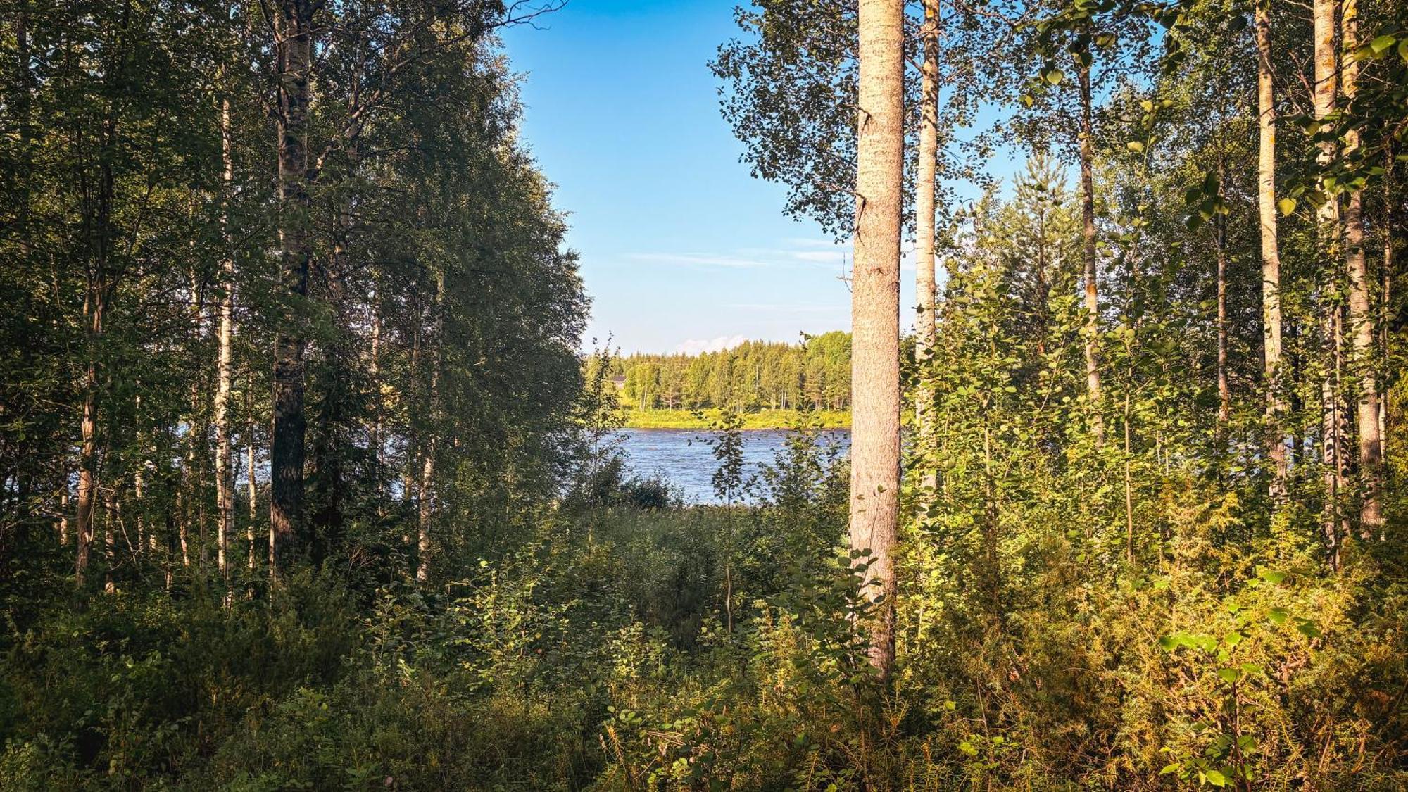 Sky Lodging ~ Sleeping Under The Stars Rovaniemi Exterior foto