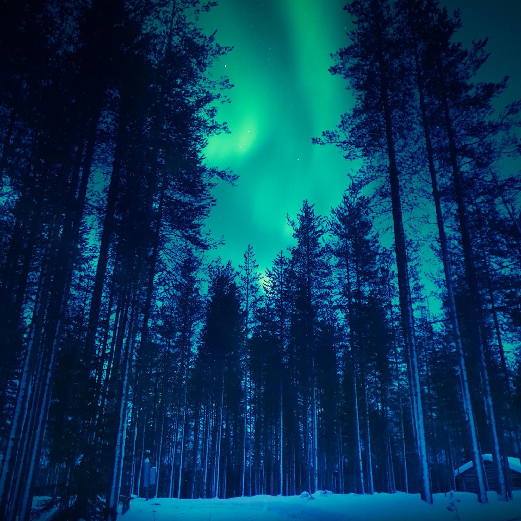 Sky Lodging ~ Sleeping Under The Stars Rovaniemi Exterior foto